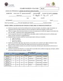 DISENO DE ESTRUCTURAS DE ACERO