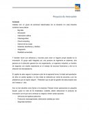 Formato de proyecto de innovacion