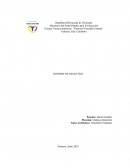 INFORME DE PASANTÍAS. TORO Y ASOCIADOS CONSULTORES