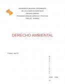 Conceptos de Derecho Ambiental y Derecho al Ambiente