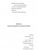 PRÁCTICA 4 Estructura Organizativa de la empresa Consultora