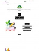 Proyecto Eco Notebook