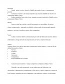 Administración. Caso Falabella