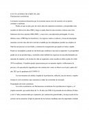 Fluctuaciones economicas