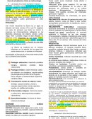 Guía de actualización clínica en nefrourología