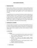 PLAN DE NEGOCIO TRADICIONAL