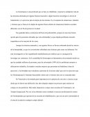 Fisioterapia a nivel nacional e internacional