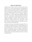 PRÁCTICA REFLEXIVA