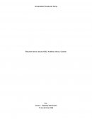 LA NEUROCIENCIA DESPUÉS DE LA DÉCADA DEL CEREBRO