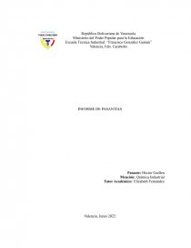 INFORME DE PASANTÍAS. TORO Y ASOCIADOS CONSULTORES. Página 1