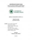 AUDITORÍA EN GESTIÓN. EMPRESA: DI PIACERE IMPORT & EXPORT S.A.C