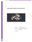 Analisis Canales de distribución