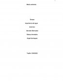 Importancia del agua