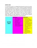 Plan mejoramiento de la comprensión lectora