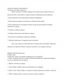 Seminario integrador de mercadotecnia