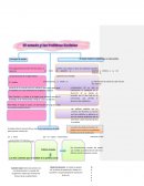 ESTADO Y POLITICAS SOCIALES