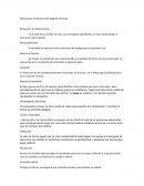 Descripción del proceso del diagrama de flujo