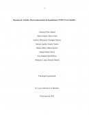 Efectos psicosociales de la pandemia COVID-19 en la familia