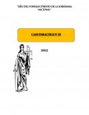 CASO PRACTICO DELITO