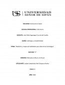 Medición y mapeo de habilidades para determinar estrategias