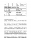 Informe Cuestionario Desiderativo
