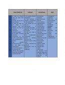 MODELOS DE DESARROLLO