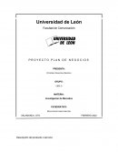 Plan de negocios SKYLATE