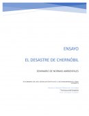 CHERNOBYL EL DESASTRE