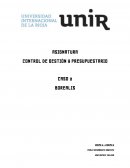 CONTROL DE GESTIÓN Y PRESUPUESTARIO