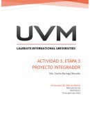 Proyector Integrador 3 Dulka