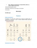 Cromosomas y Cariotipos