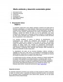 Medio ambiente y desarrollo sustentable global