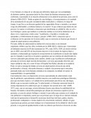 Ensayo cuidado del adulto mayor