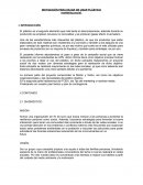 MOTIVACIÓN PARA DEJAR DE USAR PLÁSTICO