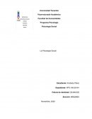 La Psicología Social. La interacción social como necesidad básica