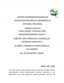 CONCLUSIÓN: “INTERACCIÓN MICROORGANISMOS SUELO”