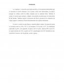 Informe de vitamina c