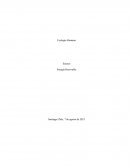 Ecología Humana . Energía Renovable