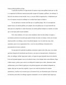 Ensayo película pollitos en fuga