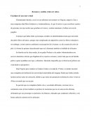 Resumen y análisis crítico de videos El peligro de una sola verdad