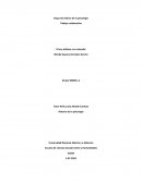 Etapa dos Raíces de la psicología