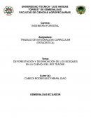 DEFORESTACIÓN Y DEGRADACIÓN DE LOS BOSQUES EN LA CUENCA DEL RIO TEAONE