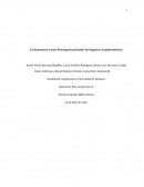 La Estructura Como Principal Generador de Espacios Arquitectónicos