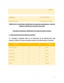 Quimica reporte 4 Identificación de sustancias ácidas y básicas