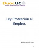 Ley protección al empleo (Ley 21.227)