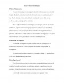 Marco Metodológico