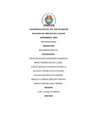 Termodinámica portafolio