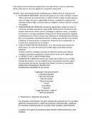 INTERNACIONALIZACION