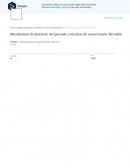 Mecanismos de deterioro del pescado y técnicas de conservación: Revisión