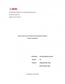 Artículo sobre áreas de Desarrollo de la Ingeniería Industrial. Procesos Industriales